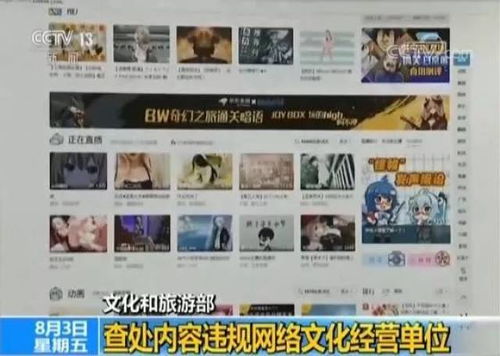 重拳出擊！文化和旅游部查處內(nèi)容違規(guī)網(wǎng)絡文化經(jīng)營單位，為網(wǎng)絡文化清朗空間保駕護航